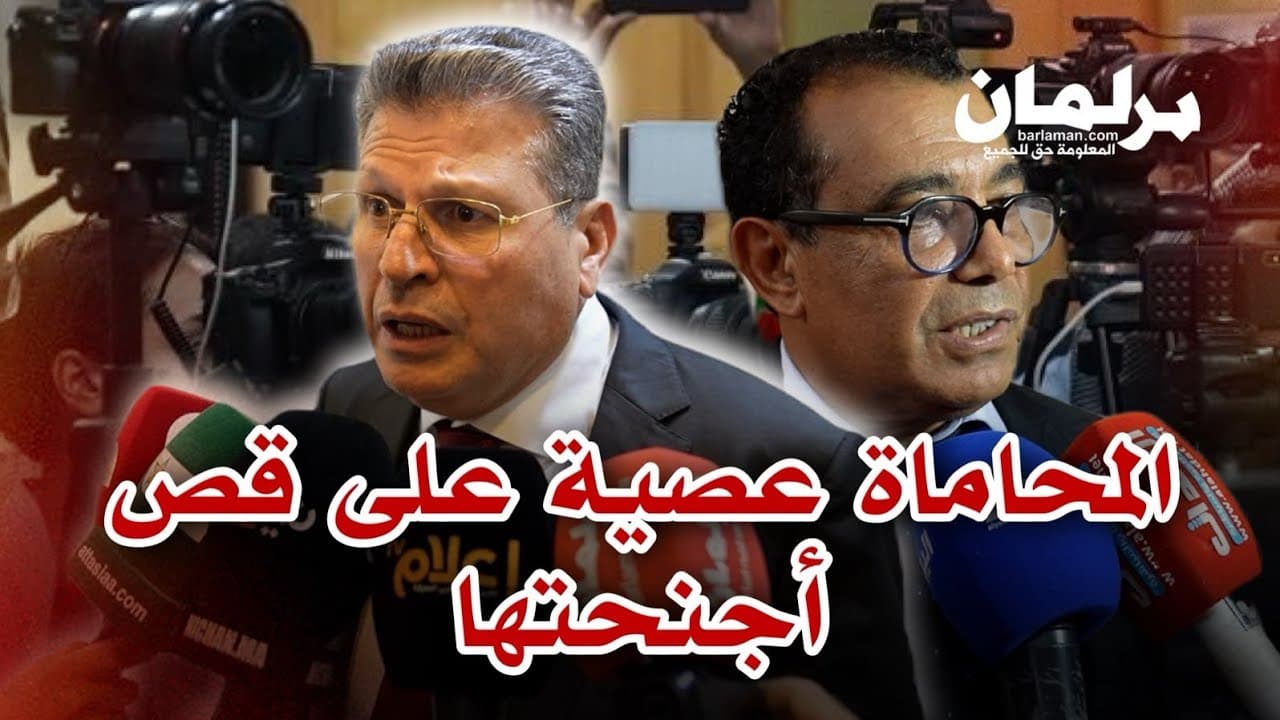الزياني ورويبح يحذران: قانون المحاماة “يهدم أركان المهنة"