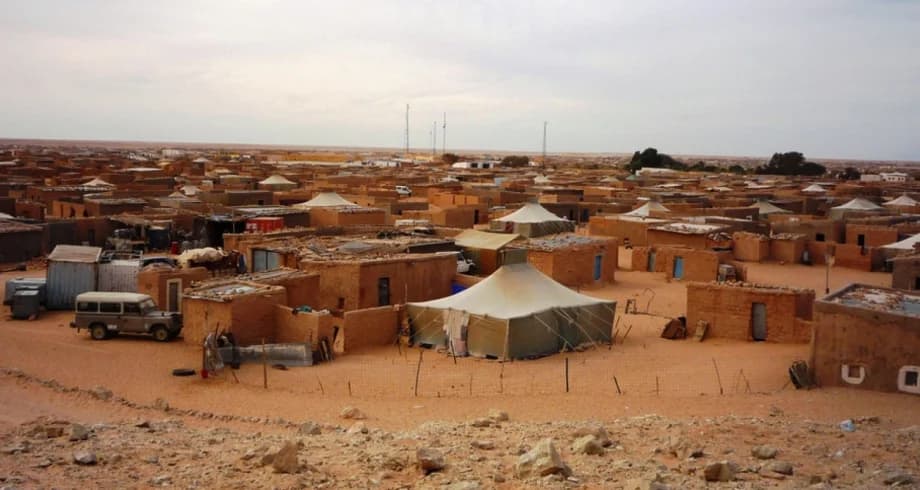 متدخلون بالأمم المتحدة ينددون بتجنيد الأطفال من طرف “البوليساريو” ندد العديد من…